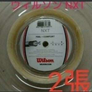 【テニスガット2張】ウィルソン NXT