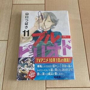 ブルーピリオド 11巻