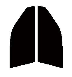 ダークスモーク　１３％　運転席、助手席　コルサ　L5#　３ドア　カット済みフィルム　国産