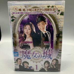 魔女の城　DVD 全話　全40巻　吹替なし　チェ　ジョンウォン
