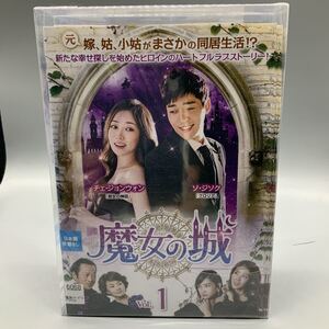 魔女の城 DVD 全話 全40巻 吹替なし チェ ジョンウォン