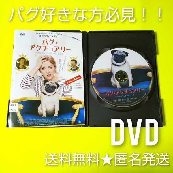 【洋画】DVD★パグ・アクチュアリー　ダメな私のワンダフル・ライフ ★レンタル落ち