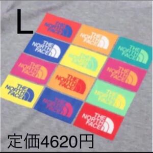 【未開封新品】ノースフェイス Tシャツ カラフル グラフィックロゴ 静電ケア設計 ミックスグレー メンズLサイズ 定価4620円