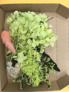 在庫処分 #3 花材セット 素材 ハンドメイド材料 ハーバリウム花材 ハーバリウム カスミ アジサイ ピラミッドアジサイ