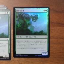 MTG/開花の巨体/foil1枚/ノーマル3枚/灯争大戦/日本語/4枚_画像3