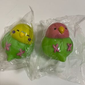 セキセイインコ コザクラインコ ガチャガチャ