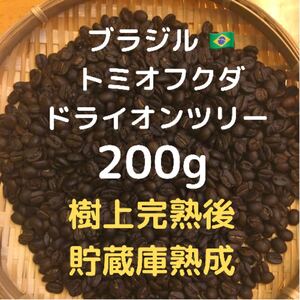 自家焙煎 ブラジル トミオフクダ ドライオンツリー200g 豆又は粉