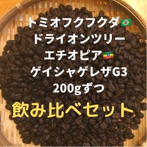 トミオフクダ ドライオンツリー、ゲイシャゲレザG3、200gずつ豆又は粉