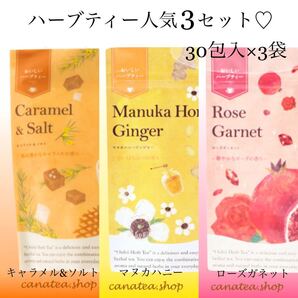 生活の木 おいしいハーブティー30袋入り×3種セット