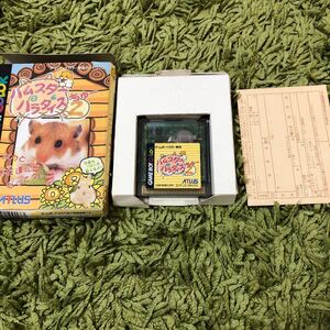 ハムスターパラダイス2 (ちゅー)