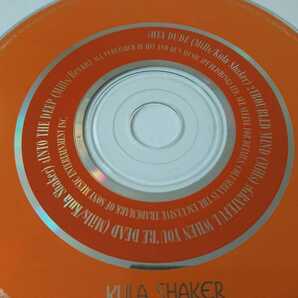 KULA SHAKER/クーラ・シェイカー「HEY DUDE」の画像4