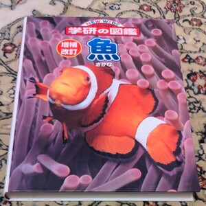 【学研の図鑑】魚 美品