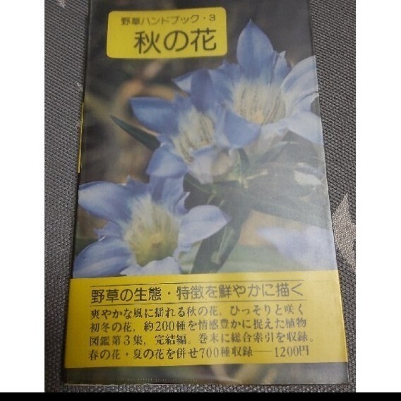 野草ハンドブック 3 秋の花