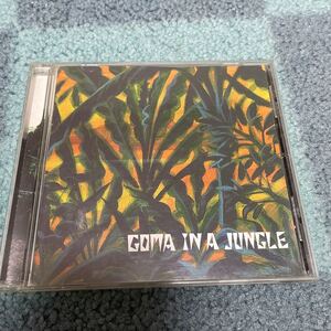 IN A JUNGLE/GOMA