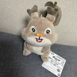 劇場版ポケットモンスター ココ ぬいぐるみ ホシガリス