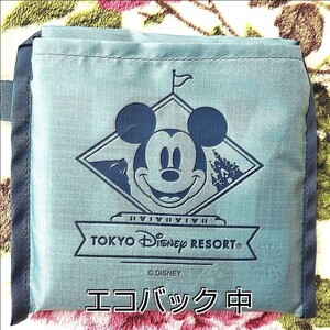 ☆ショッピングバッグ 中☆東京ディズニーリゾート限定 エコバック トートバッグ 【新品・未使用品】