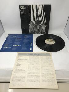 Peter Gabriel ピーター・ガブリエル セカンド Japan LP RJ-7379 レコード　N4220