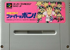 スーパーファミコン カセットのみ　全日本プロレス ファイトだポン!