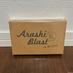 ARASHI BLAST in Miyagi スプーンセット