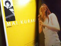 幻!日韓ワールドカップOFFICIAL CONCERT OFFICIAL PROGRAM BOOK 2002 FIFA WORLD CUP KOREA JAPAN日韓W杯B'z倉木麻衣AEROSMITH写真集パンフ_画像10