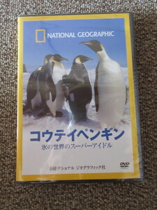 DVD　ナショナルジオグラフィック　コウテイペンギン　氷の世界のスーパーアイドル　NATIONAL GEOGRAPHIC