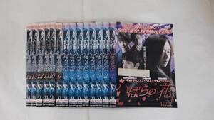 Y9 02903 - いばらの花 全40巻 チャン・シニョン DVD 送料無料 レンタル専用 字幕版