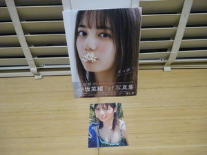 日向坂46 小坂菜緒 1st写真集「君は誰?」