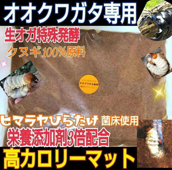 送料無料！オオクワガタ専用☆超高カロリーマット ☆クヌギ生オガ特殊発酵！共生バクテリア・特殊アミノ酸など栄養添加剤3倍配合！プロ仕様