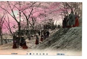 ★　手彩色　前橋　公園　の桜　女学生