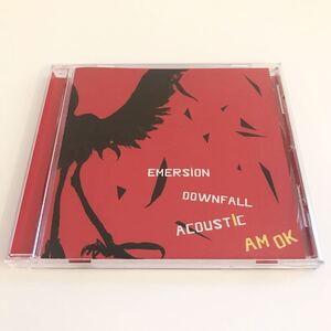 【廃盤!カオティックHC】AMOK / EMERSION DOWNFALL ACOUSTIC 検) tiala dip leg What Ever Film Gauge Means Nothing Nitro Mega Prayer