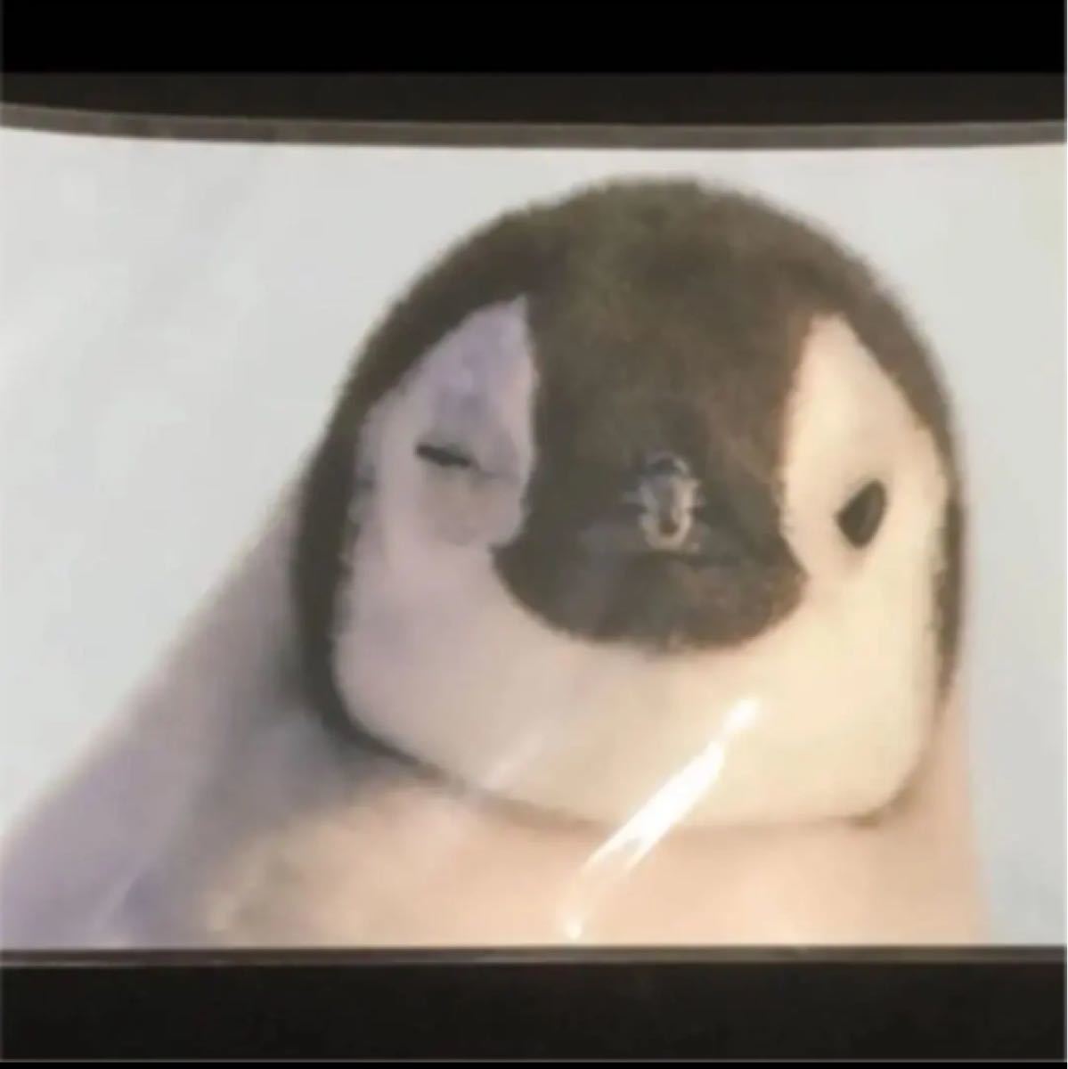 しています 南部鉄器 カラス ペンギン ペーパーウェイト 文鎮 オブジェ 鳥 烏 鳩 鋳物 IjQER-m89053884486 にただ ビンテージ 古い置物 鉄製 牛 ペーパーウェイト 文鎮 アイアン