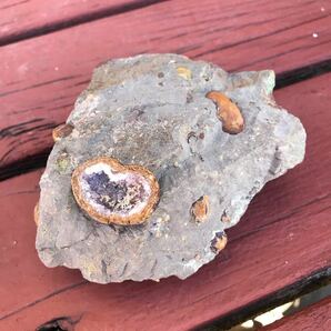ゴビ石−761 ゴビ瑪瑙　眼石＆水晶ドーム　鉱物標本