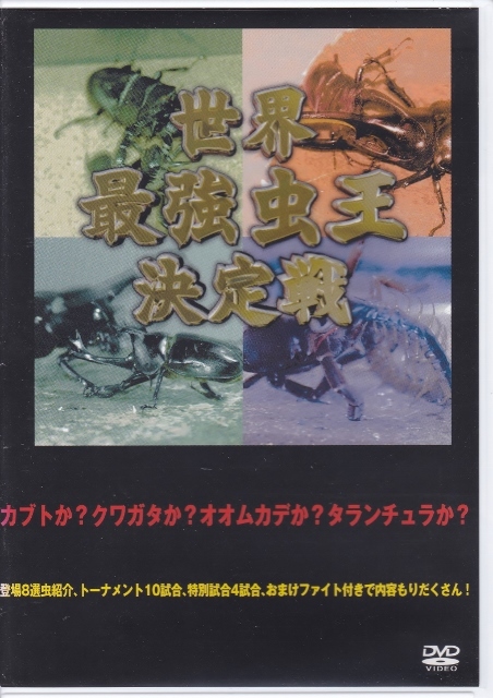 最大48%OFFクーポン DVD サイン入り 虫フードファイター 佐々木孫悟空