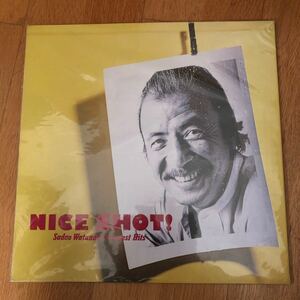 アナログレコード　NICE SHOT Sadao Watanabe Greatest Hits DVD