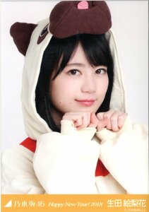 乃木坂46 生田絵梨花 生写真 Happy New Year! 2018 戌 ヨリ