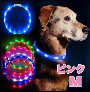 犬用 LEDライト 首輪 安全 USB 充電 小型犬 蛍光 M 夜用 ピンク 犬