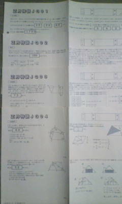 サピックス*6年*正月特訓*算数/女子学院 対策プリント*全4回 完全版