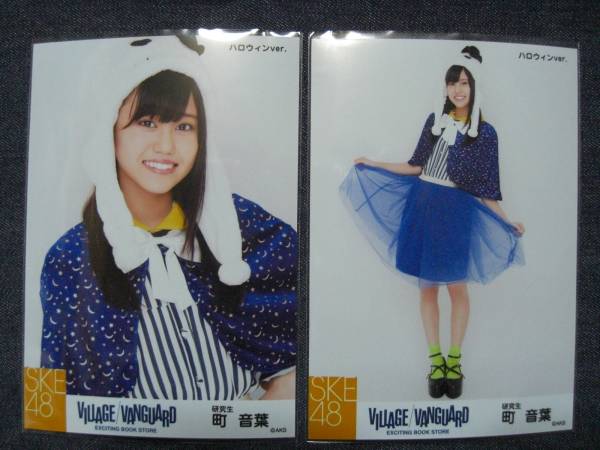 2025年最新】Yahoo!オークション -ヴィレッジヴァンガード ske