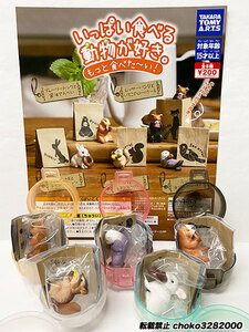 リス 動物 フィギュア ポケモン ポケットモンスター ワンピース みちのく 海洋堂の値段と価格推移は 33件の売買情報を集計したリス 動物 フィギュア ポケモン ポケットモンスター ワンピース みちのく 海洋堂の価格や価値の推移データを公開 リス 動物 フィギュア ポケモン ポケットモンスター ワンピース みちのく 海洋堂の値段と価格推移は 33件の売買情報を集計したリス 動物 フィギュア ポケモン ポケットモンスター ワンピース みちのく 海洋堂の価格や価値の推移データを公開