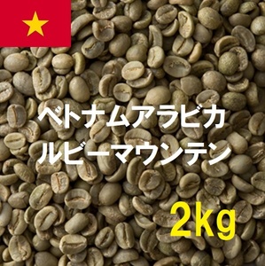 コーヒー生豆　ベトナムアラビカルビーマウンテン　2kｇ　送料無料　グリーンビーンズ