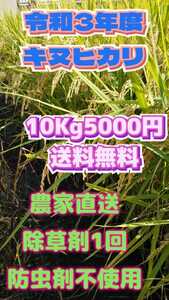 令和3年産新米キヌヒカリ白米10Kg5000円送料無料。除草剤１回 防虫剤不使用、体にやさしいお米です。40121