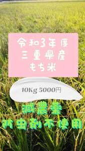 もち米・10Kg 農家直送 減農薬 防虫剤不/使用 体にやさしいもち米です。送料無料40121