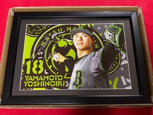  Tokyo 2020 gold medal 2021 victory 5.ORIX18 Yamamoto .. with autograph Bs summer. . with autograph player z photo 6 cut wide frame goods 