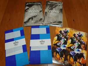 JRA◆WINS day2018◆記念品◆シュヴァルグラン◆勝負服柄オリジナルサマーグッズ(手ぬぐい)◆2枚◆未使用品◆競馬グッズ