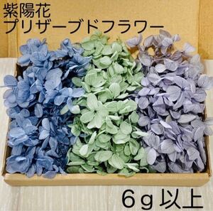 紫陽花 アジサイ プリザーブドフラワー ハーバリウム 花材 レジン くすみカラーセット