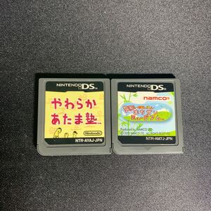 DSソフト やわらかあたま塾 まちがいさがしミュージアム 任天堂DS カセットのみ ケースなし 作動確認未