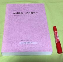 伊丹市所在 　有岡城跡・伊丹郷町　 5 　/　兵庫県　伊丹　有岡城跡　伊丹郷町　有岡城　城跡　　　_画像1