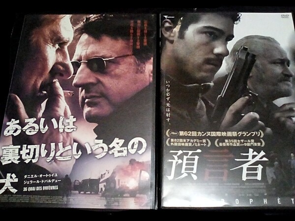 DVD レンタル落ち おすすめフィルム・ノワール あるいは裏切りという名の犬 預言者