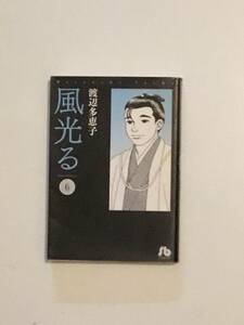 風光る 第5巻と第6巻文庫版のセットで 渡辺多恵子