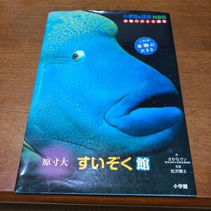 小学館の図鑑NEO 本物の大きさ絵本 すいぞく館 原寸大/さかなクン/松沢陽士
